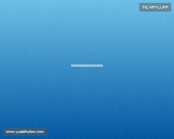 荷兰踢拳巅峰盛宴全球精英对决荷式格斗荣耀之夜